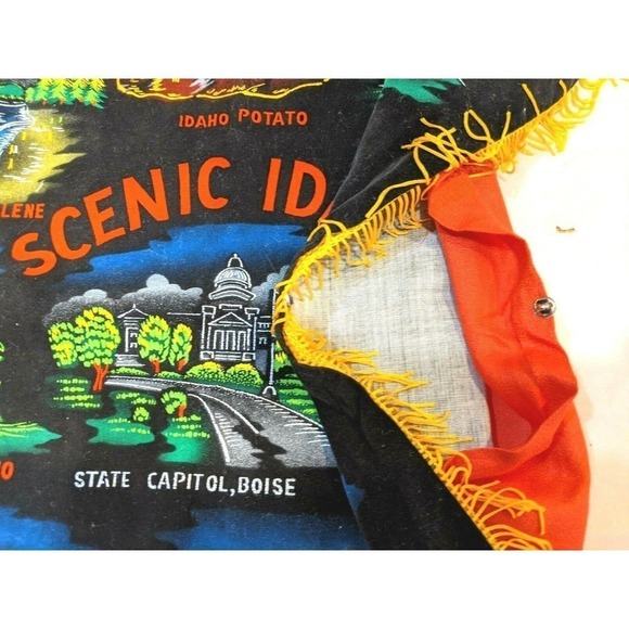 Idaho Pillow Cover Wall Hanging Black Velvet - Picture 6 of 6